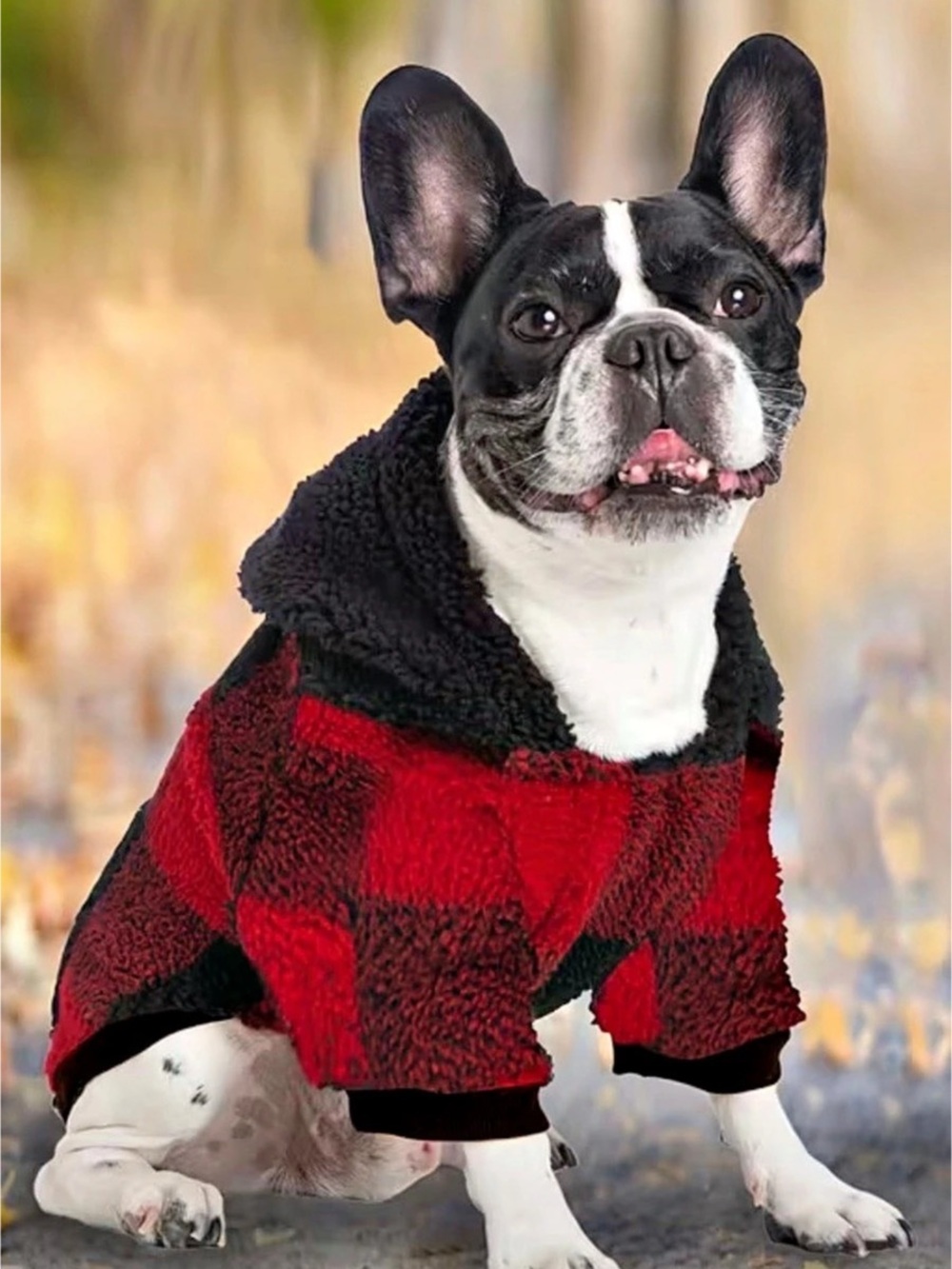 Red & Black Plaid Dog Coat